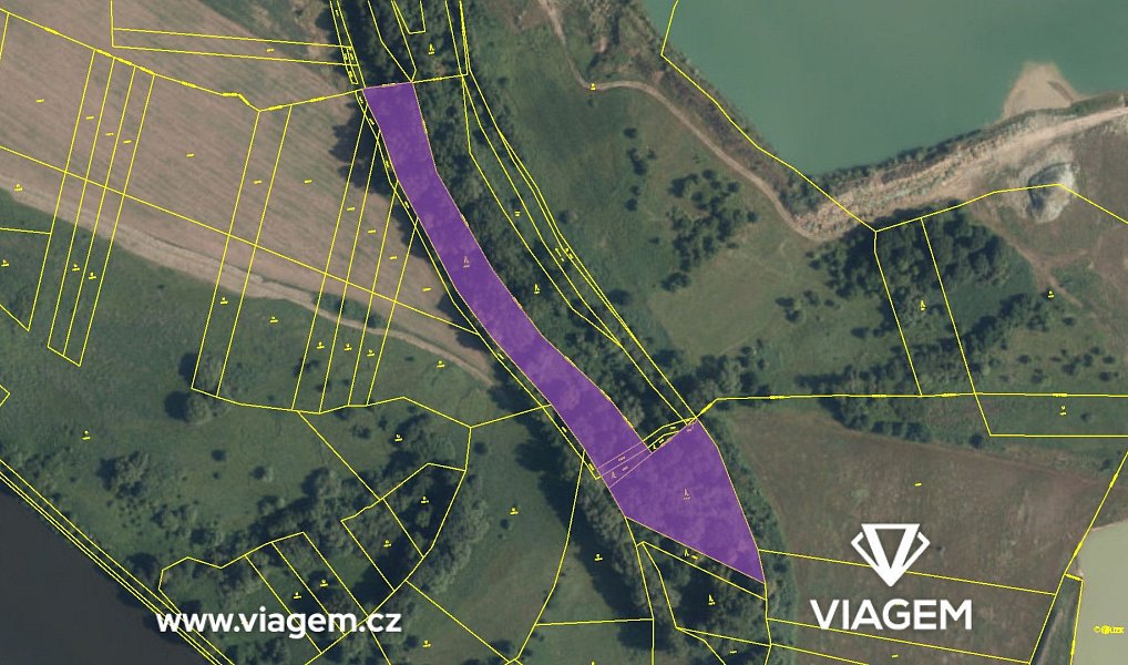 Prodej lesa 2 389 m², Kostelec nad Labem – náhled fotky 4