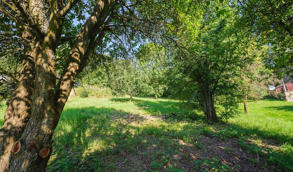 Prodej stavebního pozemku 4 188 m², Zlatá Olešnice – náhled fotky 2