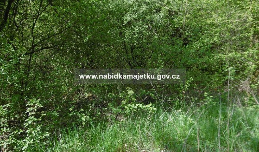 Prodej zahrady 5 503 m², Kostelec nad Černými lesy – náhled fotky 6