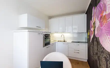Pronájem bytu 1+1 40 m²