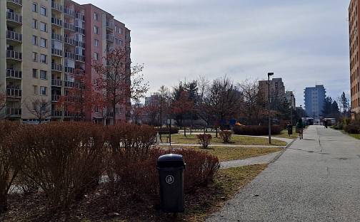 Prodej bytu 2+kk 42 m², Bezdrevská, České Budějovice - České Budějovice 2