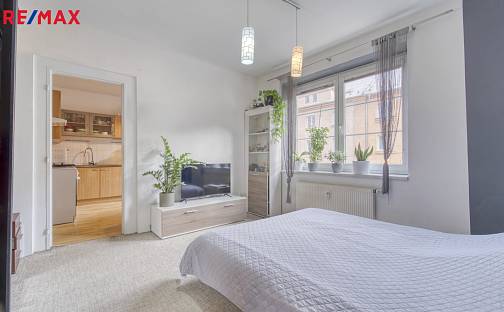 Prodej bytu 1+1 41 m², Sladkovského, Plzeň - Východní Předměstí