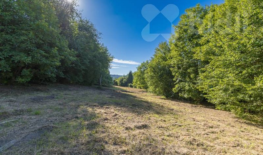 Prodej stavebního pozemku 8 271 m², Hradištko – náhled fotky 9