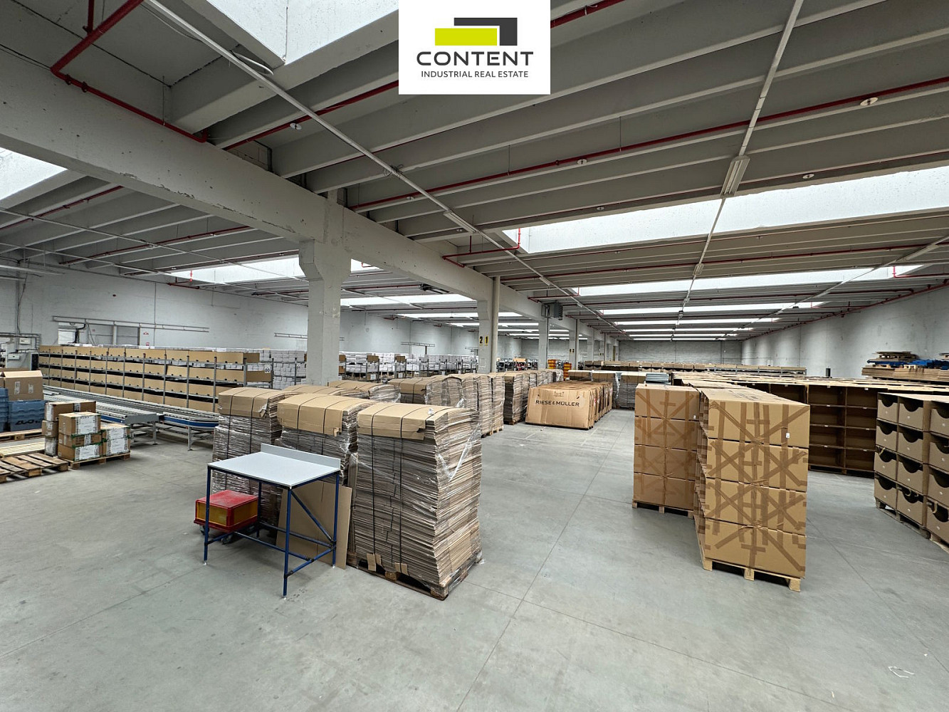 Pronájem skladovacích prostor 4 000 m² — photo 4