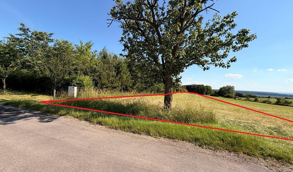 Prodej stavebního pozemku 5 584 m², Kobylnice – náhled fotky 5