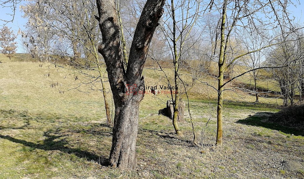 Prodej domu 200 m² s pozemkem 3 700 m², Kujavy – náhled fotky 14