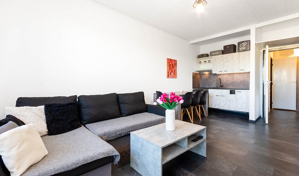 Prodej bytu 1+kk 31 m², Český Těšín – náhled fotky 6