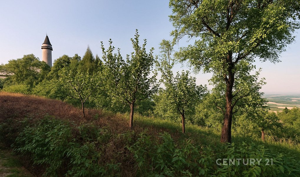 Prodej zahrady 4 971 m², Štramberk – náhled fotky 2