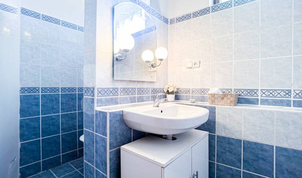 Prodej domu 150 m² s pozemkem 748 m², Tachov – náhled fotky 9