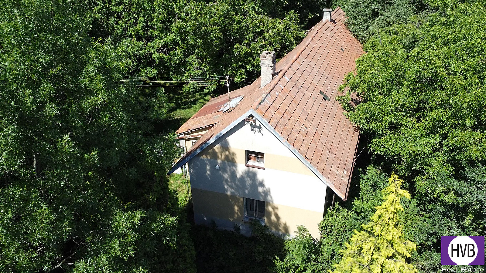 Prodej domu 105 m² s pozemkem 3 999 m² — photo 2