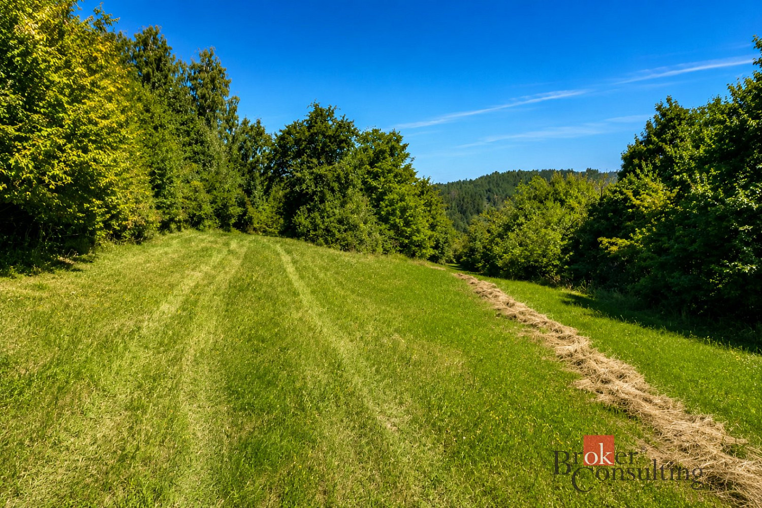Prodej louky 3 075 m² – fotografie 5
