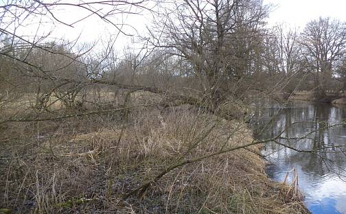 Prodej pozemku 6 591 m², Novosedly nad Nežárkou, okres Jindřichův Hradec