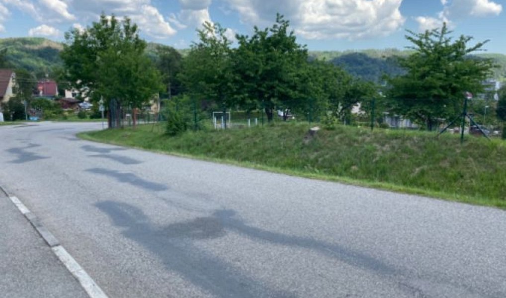 Prodej stavebního pozemku 4 256 m², Sázava – náhled fotky 6