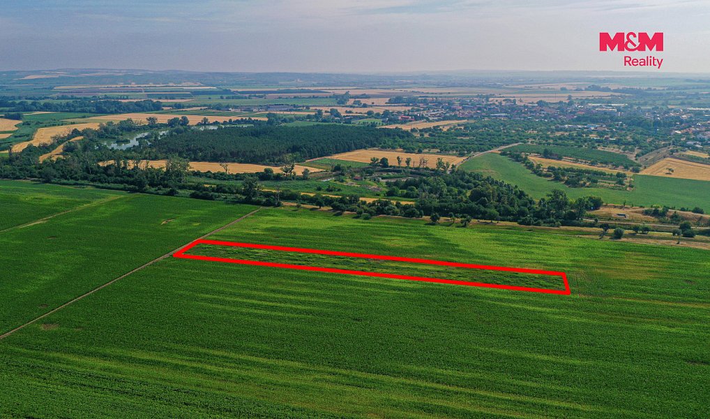 Prodej pole 9 227 m², Podivín – náhled fotky 13