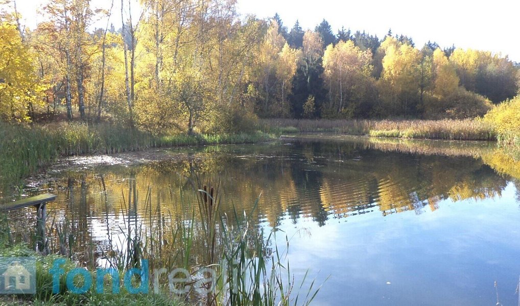 Prodej pozemku 1 225 m², Borovná – náhled fotky 5