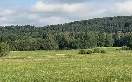 Prodej pole 27 326 m², Kaplice - Blansko, okres Český Krumlov