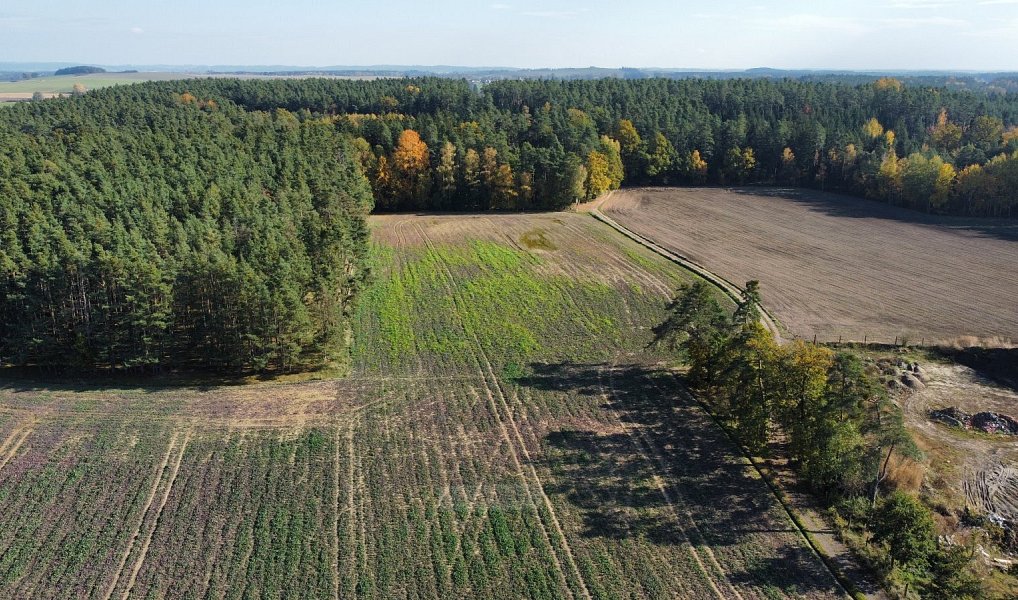 Prodej pole 49 992 m², Řípec – náhled fotky 2