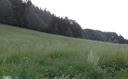 Prodej pole 12 576 m², Městečko Trnávka, okres Svitavy