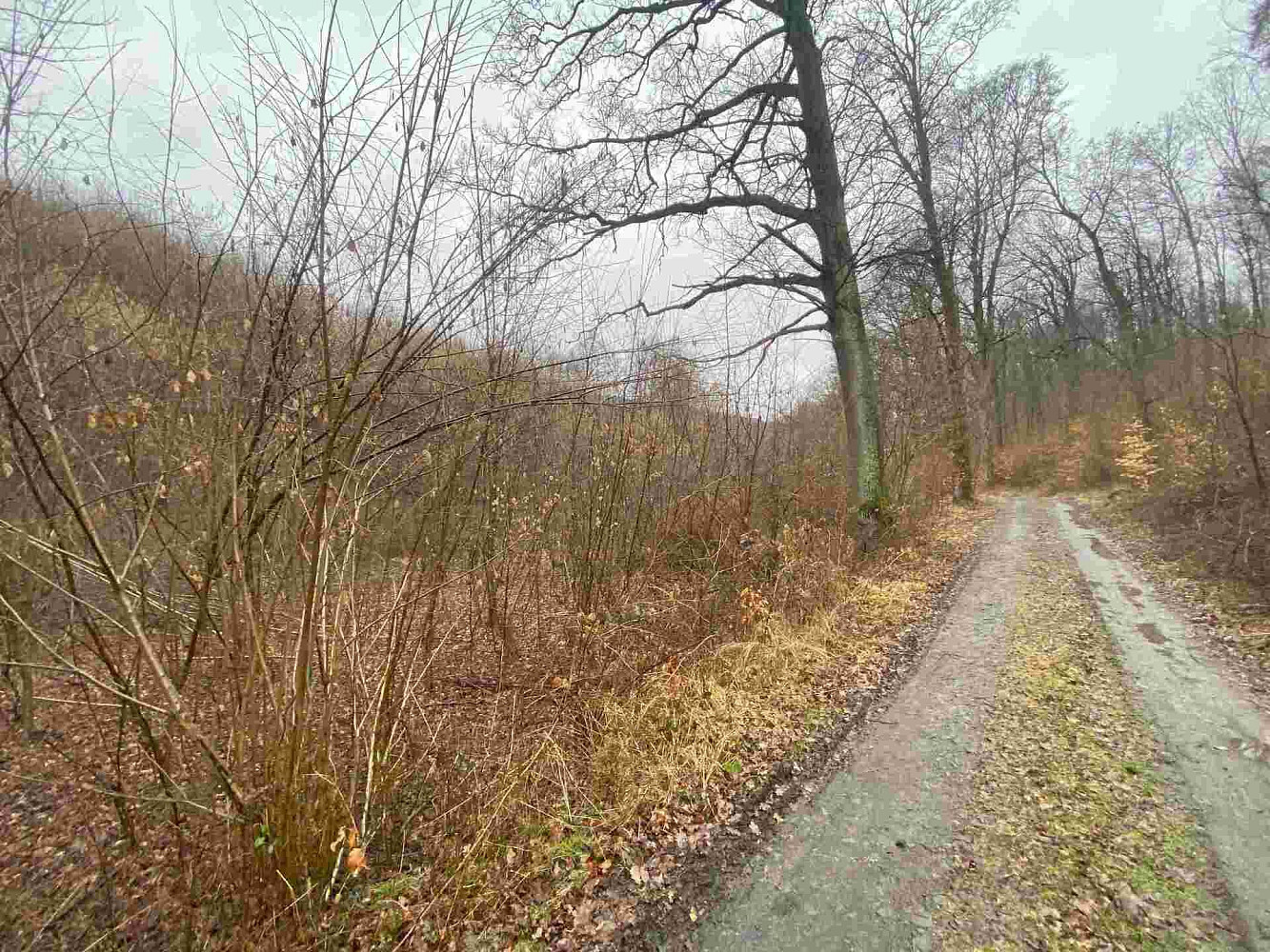 Prodej pole 3 207 m² – fotografie 3