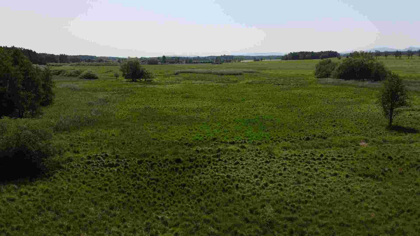 Prodej pozemku 20 535 m² – fotografie 4
