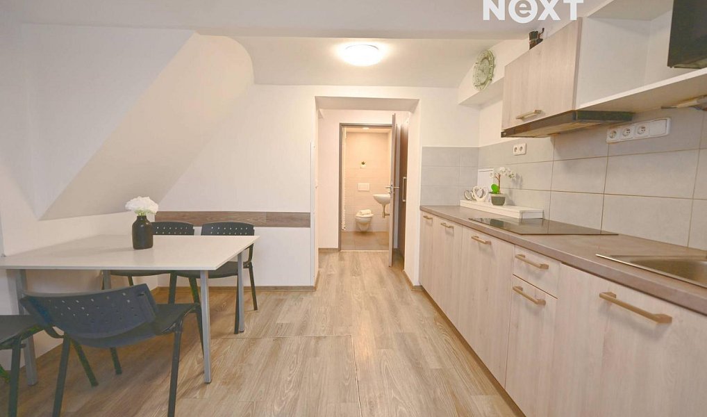 Prodej ubytovacího objektu 215 m², Praha – náhled fotky 2