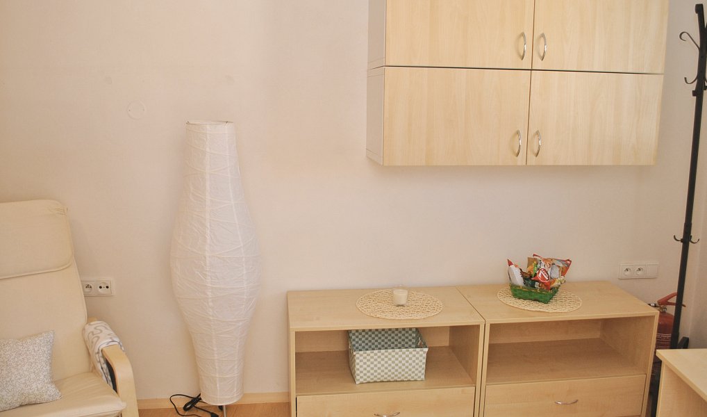 Pronájem bytu 1+kk 28 m², Brno – náhled fotky 3