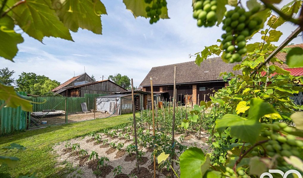 Prodej domu 114 m² s pozemkem 1 685 m², Libáň – náhled fotky 24