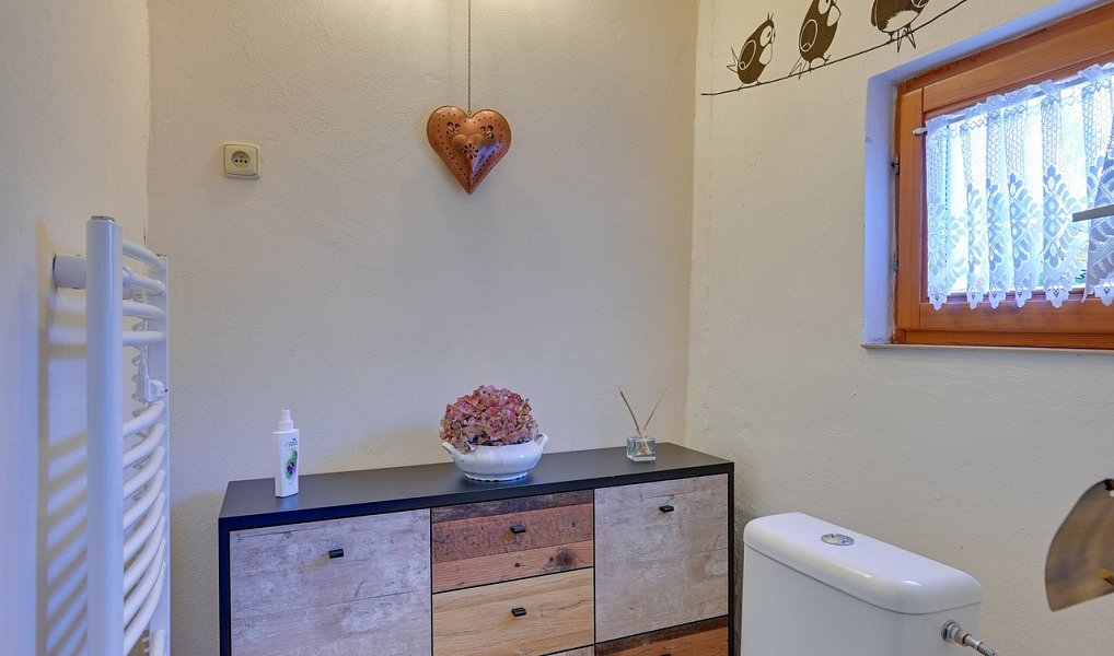 Prodej domu 239 m² s pozemkem 385 m², Dub nad Moravou – náhled fotky 17