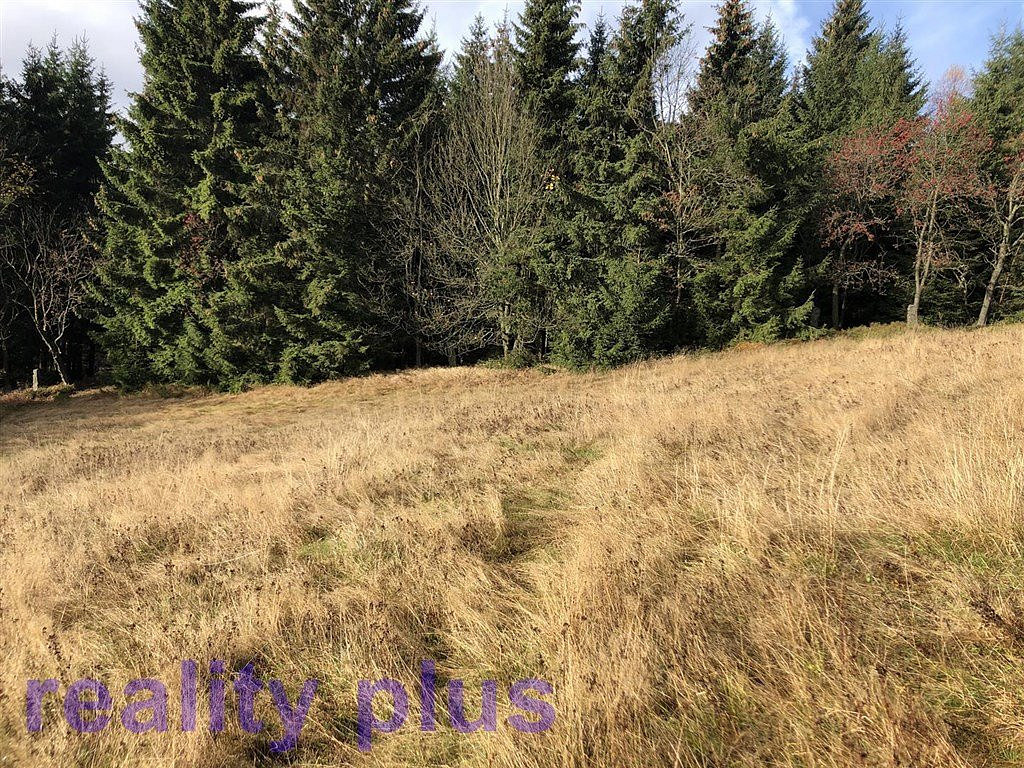 Prodej louky 6 251 m² – fotografie 2