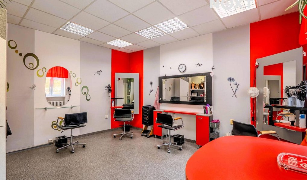 Prodej obchodních prostor 839 m², Vyškov – náhled fotky 5