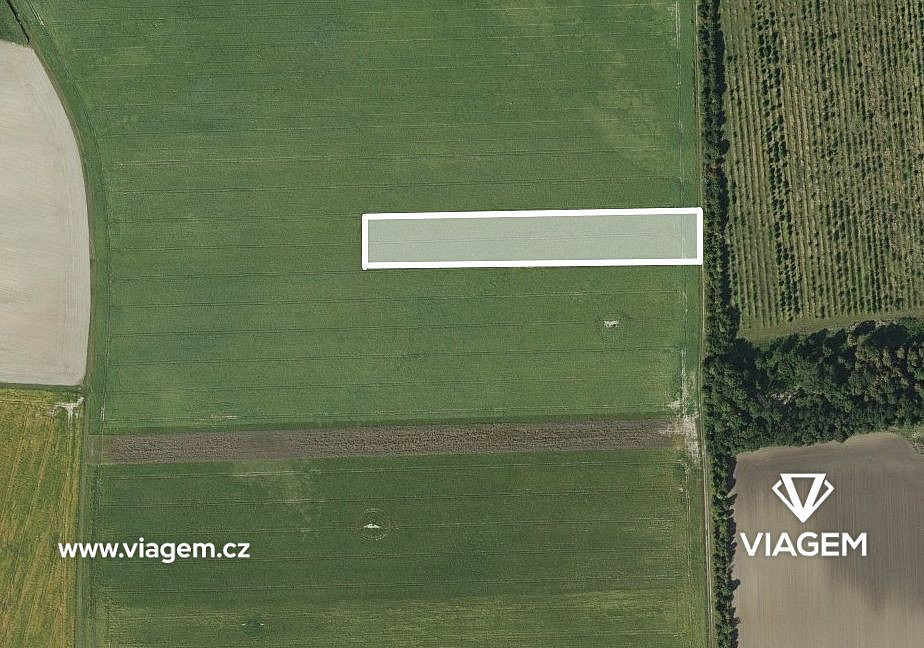 Prodej pole 1 236 m²