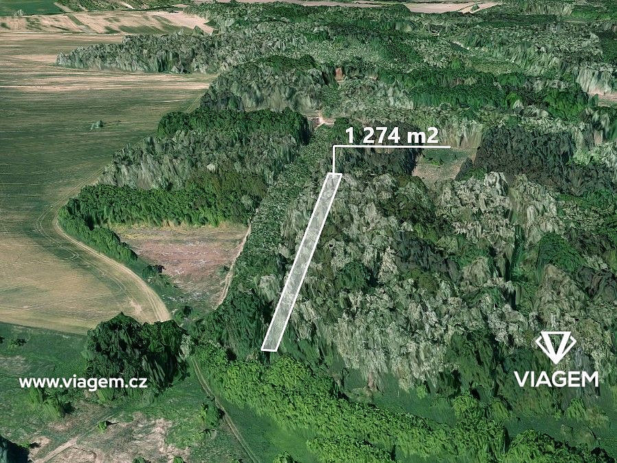 Prodej lesa 1 274 m²