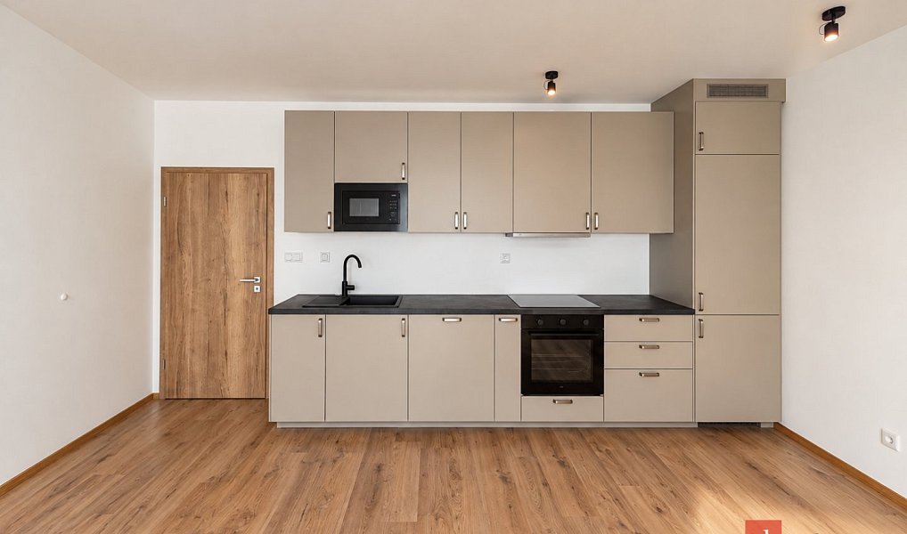 Pronájem bytu 2+kk 57 m², Plzeň – náhled fotky 13