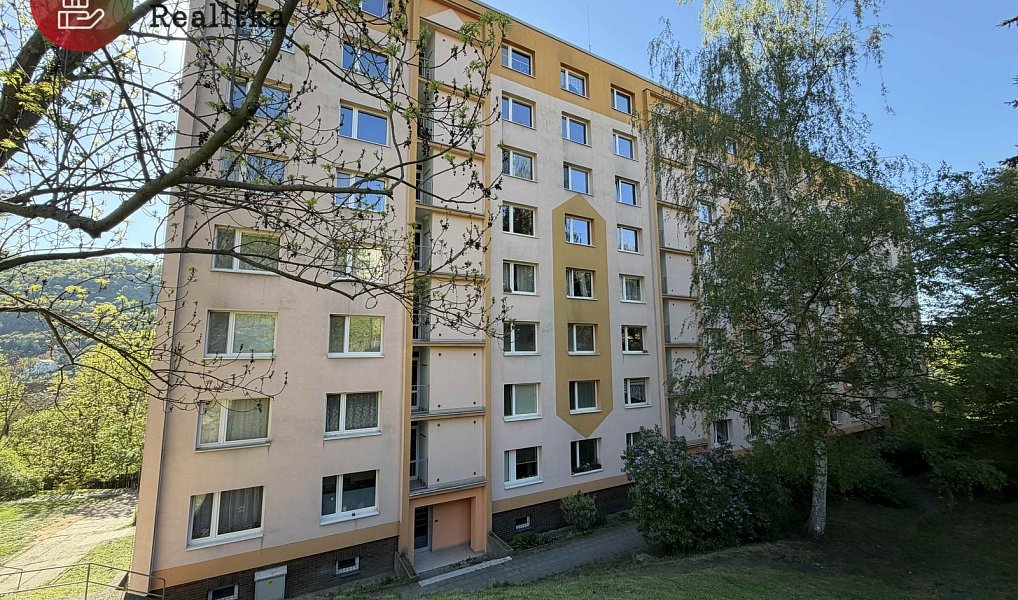 Pronájem bytu 1+kk 20 m², Ústí nad Labem – náhled fotky 57