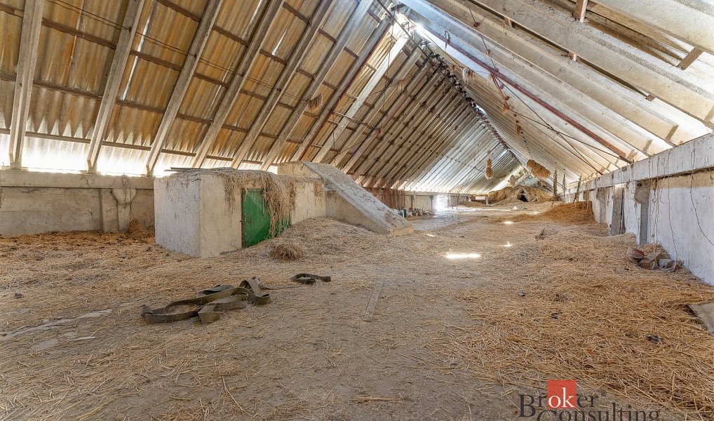 Prodej zemědělského objektu 1 850 m², Kněžice – náhled fotky 9