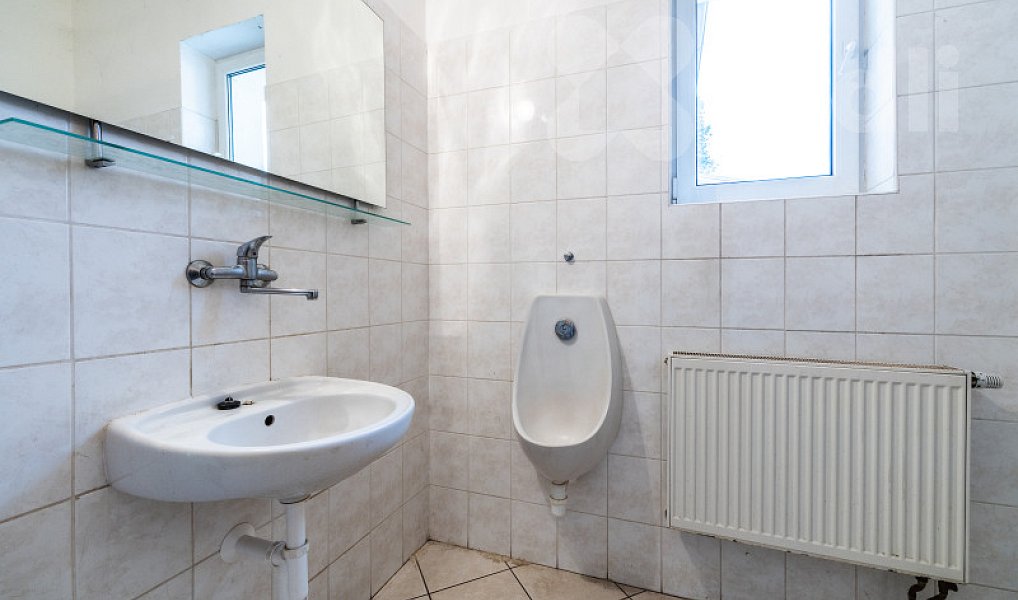 Prodej obchodních prostor 670 m², Dolní Kalná – náhled fotky 10