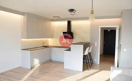 Pronájem bytu 2+kk 54 m², F. X. Riepla, Ostrava - Moravská Ostrava