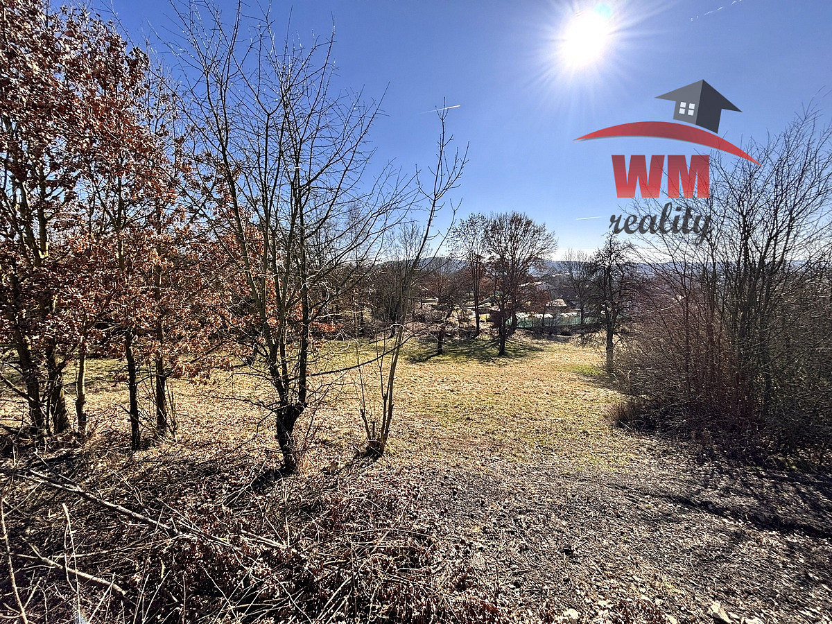 Prodej stavebního pozemku 4 036 m² – další