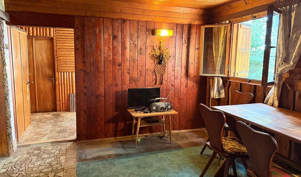 Prodej chaty/chalupy 53 m² s pozemkem 366 m², Borová – náhled fotky 2