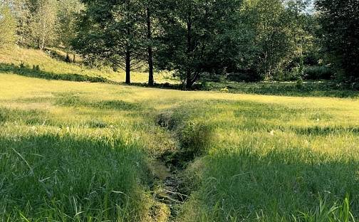 Prodej pozemku 6 838 m², Výprachtice, okres Ústí nad Orlicí