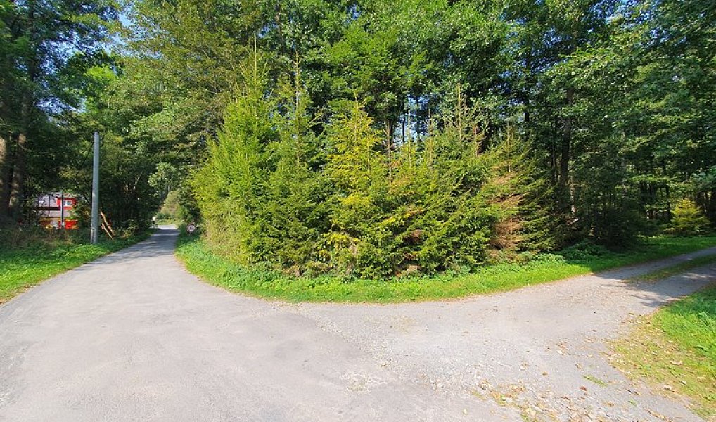 Prodej chaty/chalupy 70 m² s pozemkem 3 502 m², Malá Morávka – náhled fotky 12