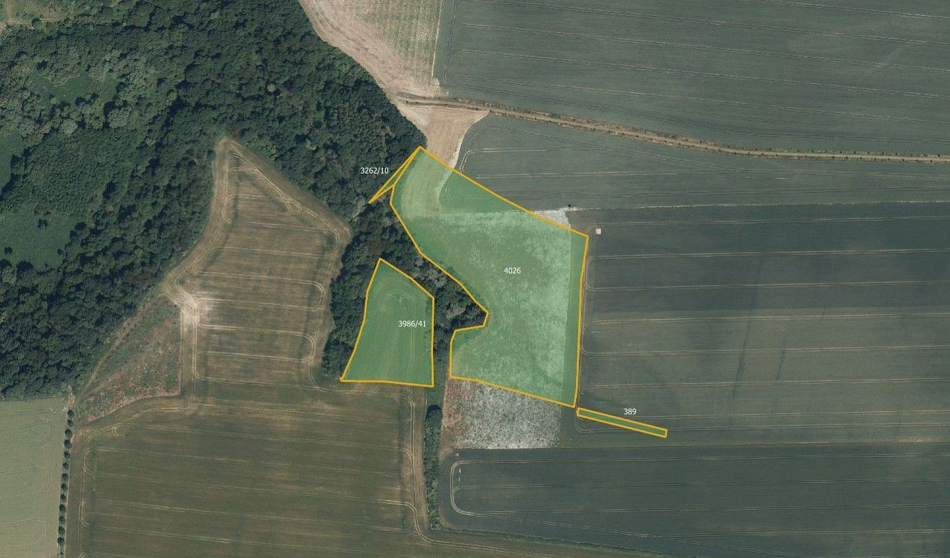 Prodej pole 43 275 m² — photo 4