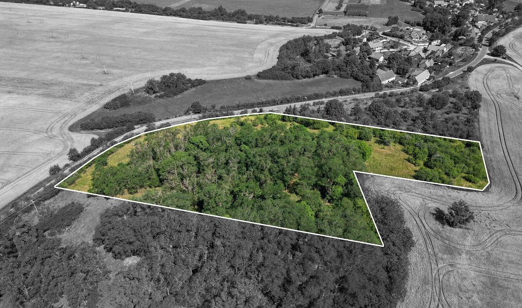 Prodej zahrady 16 882 m², Zvíkovec – náhled fotky 4