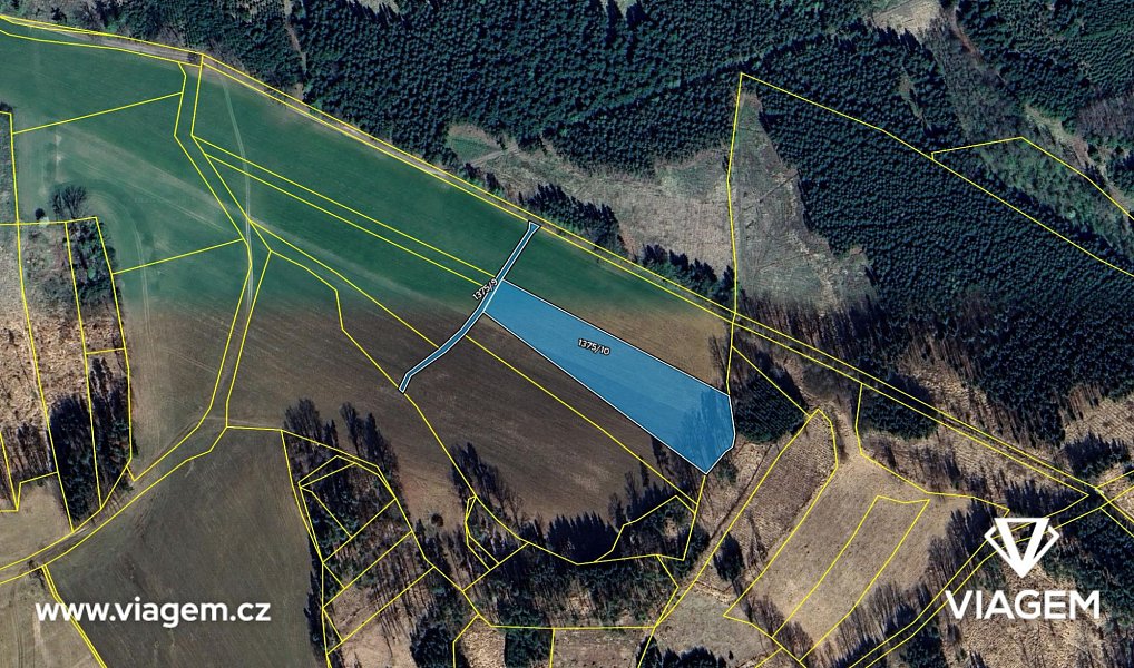 Prodej pole 446 m², Borotín – náhled fotky 4