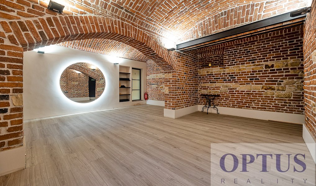 Pronájem bytu 5+kk 190 m², Praha – náhled fotky 33