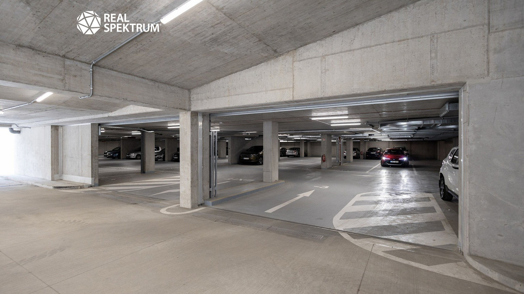 Pronájem kanceláře 250 m² – fotografie 4