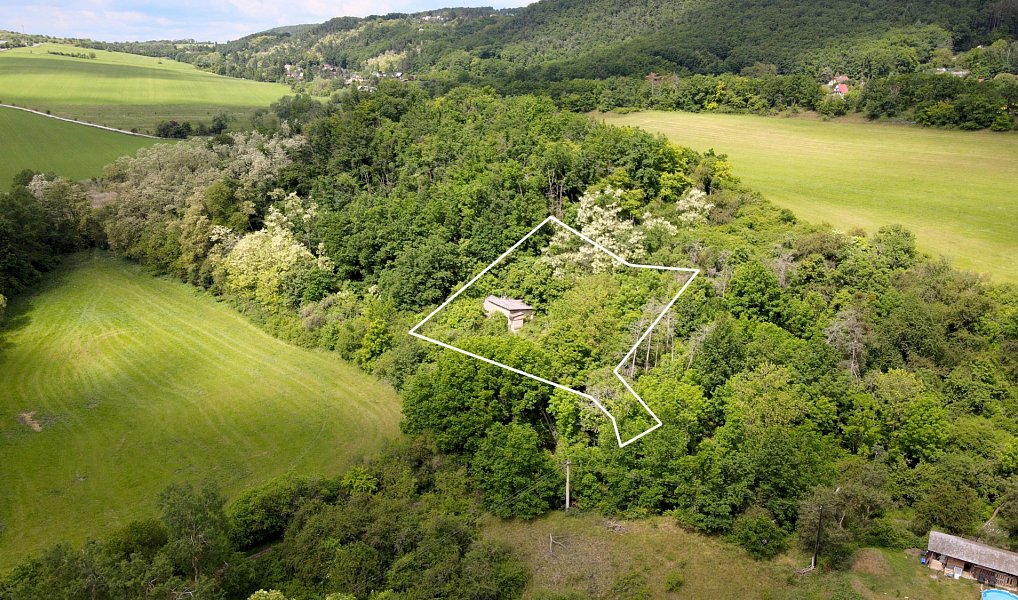Prodej stavebního pozemku 1 000 m², Vráž – náhled fotky 2