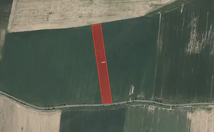 Prodej pole 43 682 m², Zvěrotice, okres Tábor