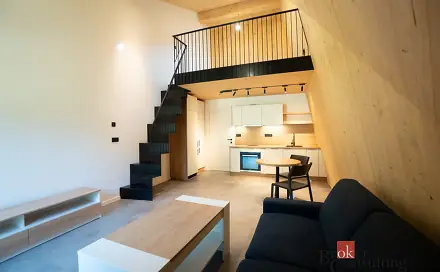 Pronájem bytu 2+kk 53 m²