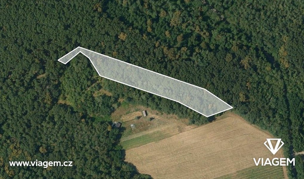 Prodej lesa 1 559 m², Dolní Kounice – náhled fotky 2